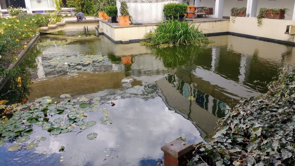 Canterbury University campus grounds - this looks like the kind of place they would film an episode of Star Trek: The Next  Generation